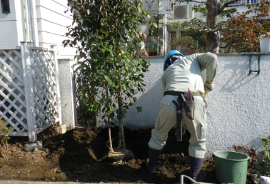 樹木の植栽工事