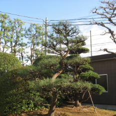 施工風景